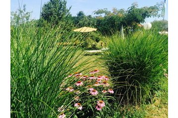 Serbija Privát Končarevo, Eksterjeras